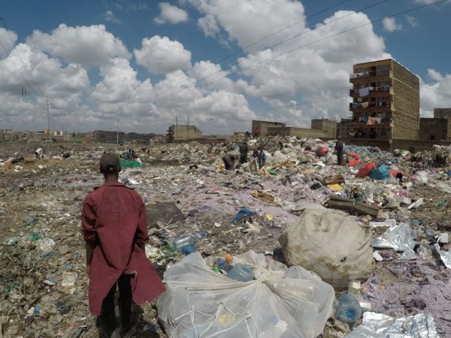Garbage Collection & Tree planting